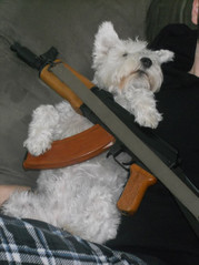 thuglyfe.jpg