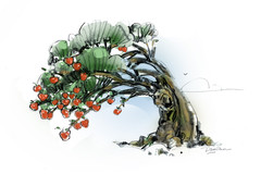 Low-Hanging-Fruit-1  Doug Marshall.jpg