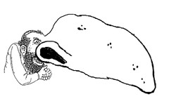 1414966292378.jpg