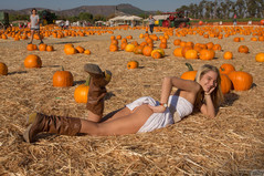 Pumpkin queen3.jpg