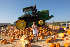 Pumpkin queen5.jpg