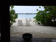 20141108_083641.jpg