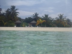 20141109_055306.jpg