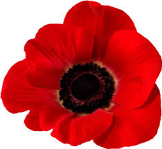 REMEMBRANCE.jpg