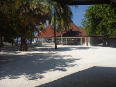 20141111_042211.jpg
