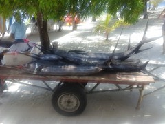 20141111_060504.jpg