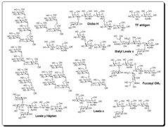 oligosaccharides..jpg