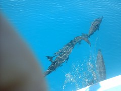 20141116_062107.jpg