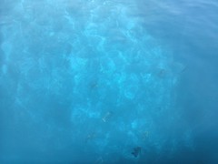 20141116_055540.jpg