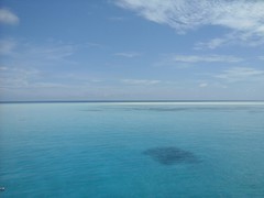 20141116_065033.jpg