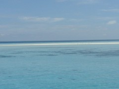 20141116_065041.jpg
