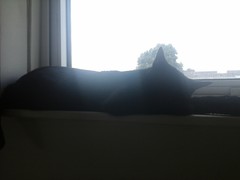 20140715_171419.jpg