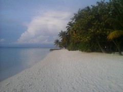20141116_130221.jpg