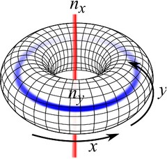 torus.jpg