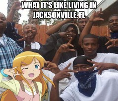 jax.jpg