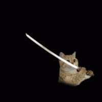 fuckalms.gif