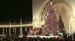 december-nights1tree.jpg