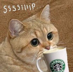 1368730334145.jpg