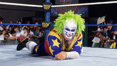 doink-the-clown[2].jpg