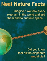 1418886272463.jpg
