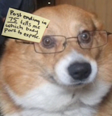 1275258263969.png