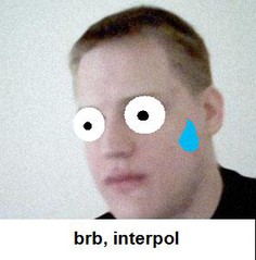 Interpol.jpg