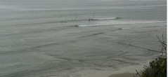 Swamis 2.37 PM 1-22-15.JPG