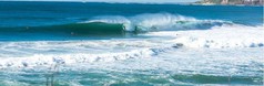 Surf Cardiff 1-25-15-2shot.JPG