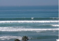 Cardiff Surf 2-9-15 +.jpg