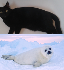 Untitled.png