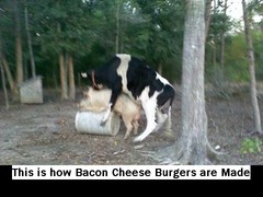 Bacon Cheeseburger how they are made.jpg