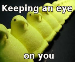 peeps.jpg