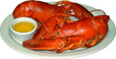 lobster.png