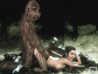 princess-leia_chewbacca-fucking-.gif