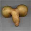 dicktater.jpg