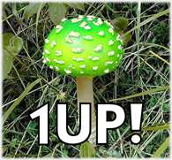1up.jpg
