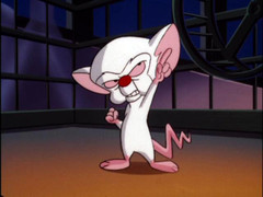pinky-and-the-brain.jpg