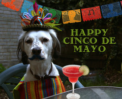 HAPPY-CINCO-DE-MAYO-d.jpg