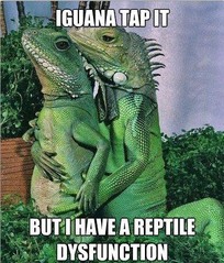 reptile.jpg