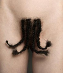 pubic hair braided.jpg