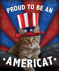 Americat.jpg