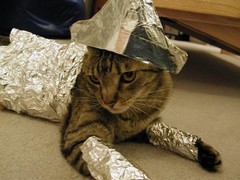 tinfoilcat.jpg