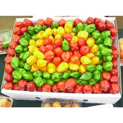 chile-habanero-less bw.jpg