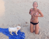 dog-unties-bikini.gif