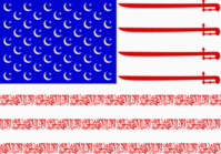 Flag usa_islam.gif