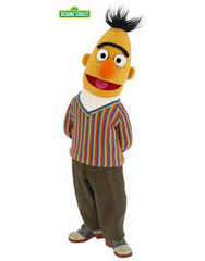 Bert.jpeg