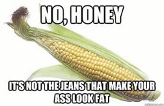 corn.jpeg