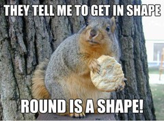 Funniest_Memes_they-tell-me-to-get-in-shape-round-is-a-shape_17895.jpe