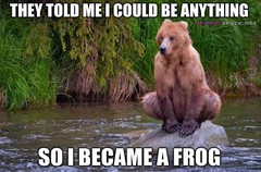 frog-bear-as.jpg