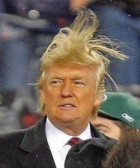 Donald Trump hair.jpg